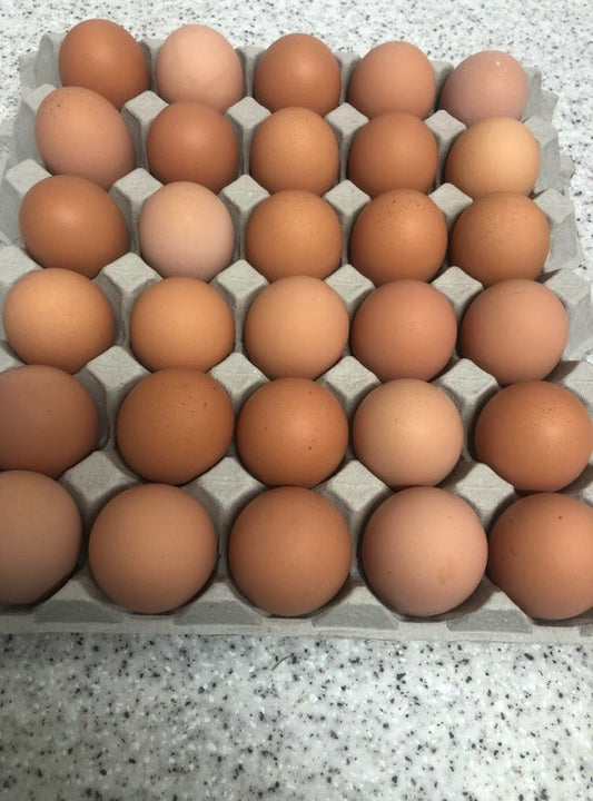 Free Range Eggs 30 tray 700g