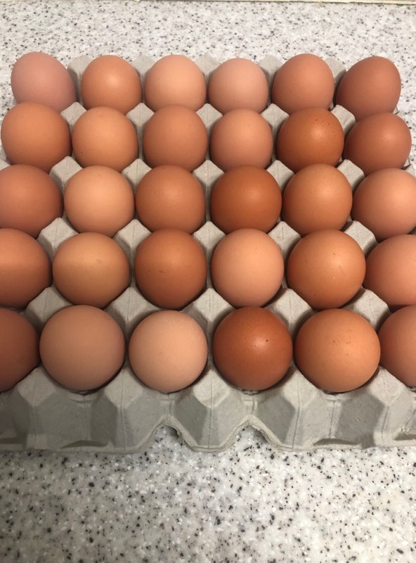Free Range Eggs 30 tray 800g