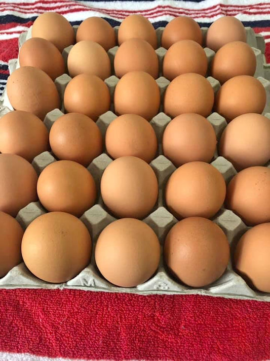 Free Range Eggs 30 tray 850g