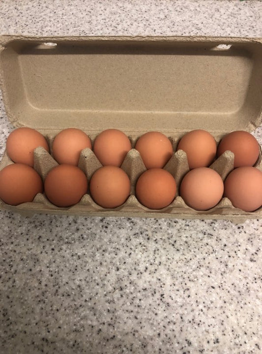Free Range Eggs 12 carton 800g