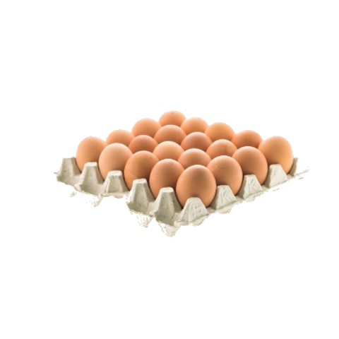 Free Range Eggs 20 tray 850g